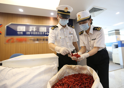 中非經貿博覽會 合作成果豐碩，攜手共譜發展新篇
